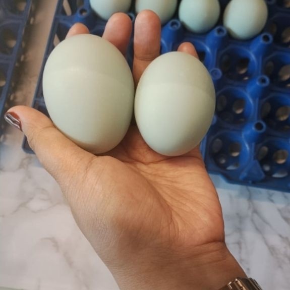 Telur Asin Mentah Masir Legit Gurih Asli blitar