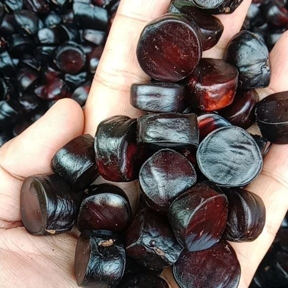 jaling kabau super,jaling kabau lalapan crunchy/Renyah,jaling kabau Lampung Sumatra Obat Diabetes