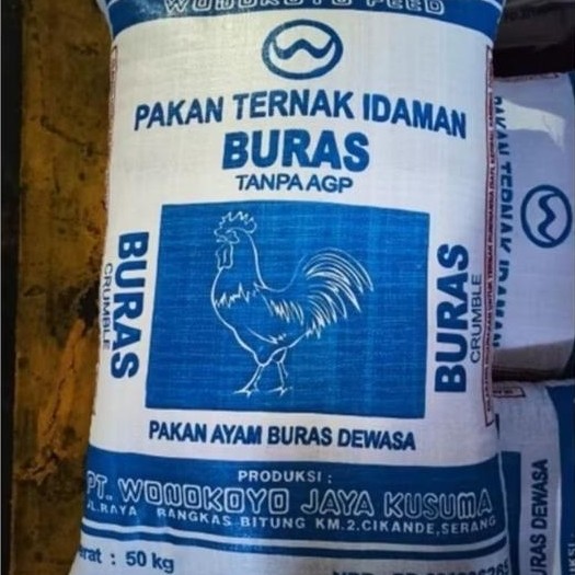 Pakan Ayam Buras Tanpa AGP Makanan Ayam Wonokoyo