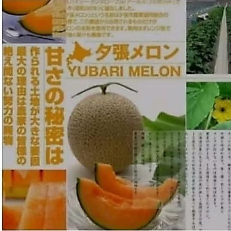 BUAH MELON YUBARI KING JAPANESE/MELON JEPANG ORIGINAL 1 PCS