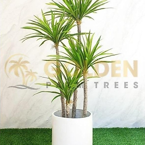 Pohon artificial pandan bali cabang 4 + pot Tanaman