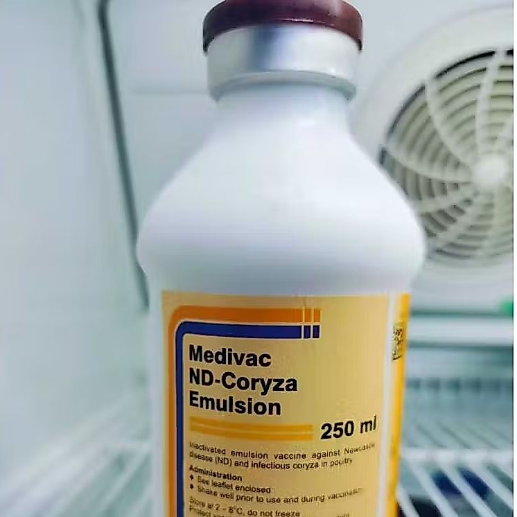 Promo Medivac Vaksin Ayam ND Coryza Emulsion 250 ML Berkualitas