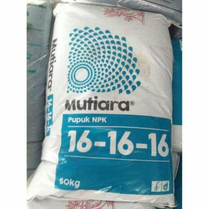 PROMO  Pupuk NPK Mutiara 16 16 16 kemasan 1 Karung 50Kg