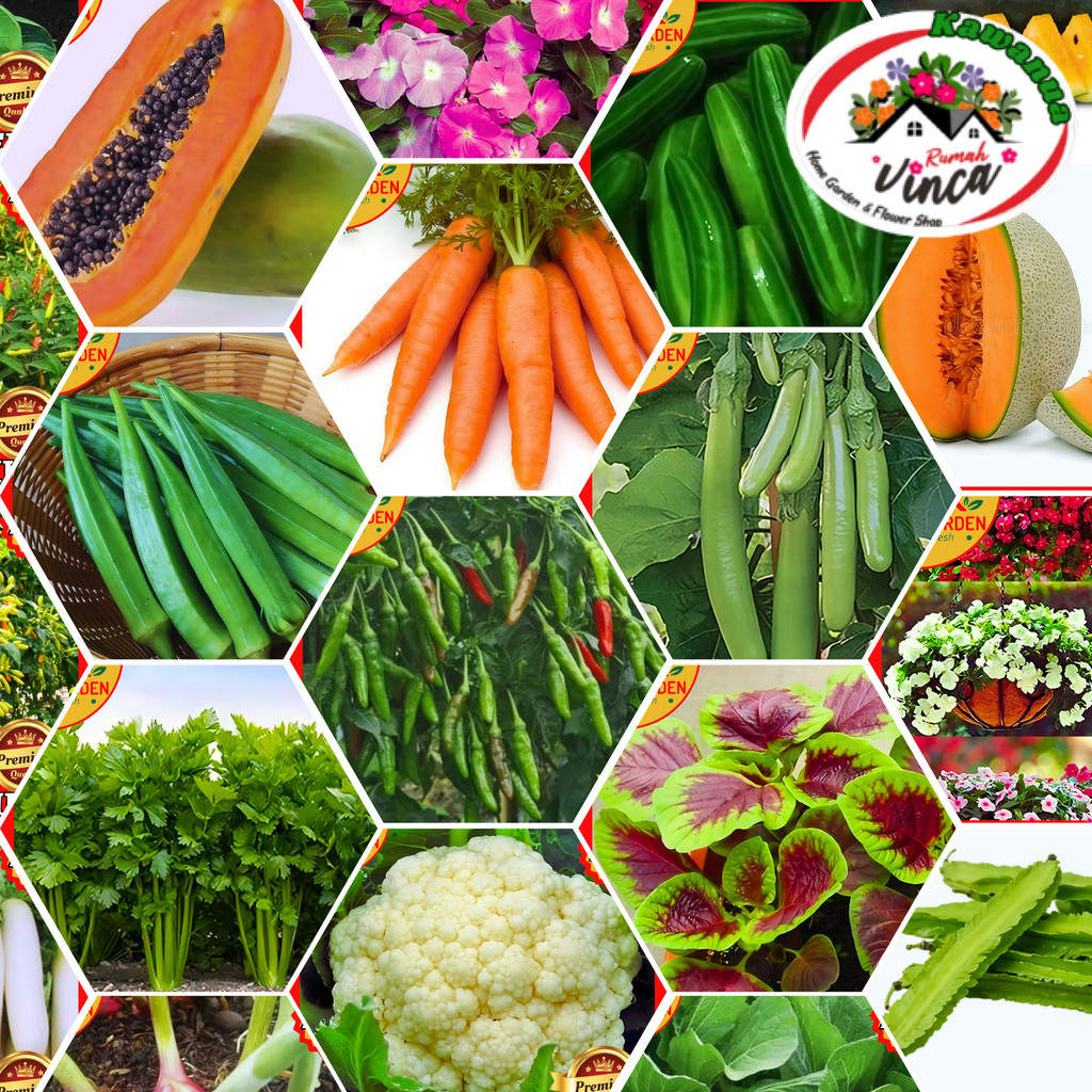 Benih Bibit Sayur Tomat Cabe Sawi Melon Wortel Labu Timun Kacang Panjang Tomat Semangka Selada Bunga