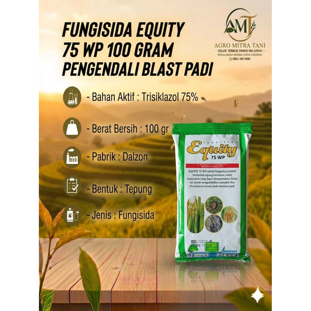 FUNGISIDA EQUITY 75 WP 100 GRAM PENGENDALI BLAST PADI