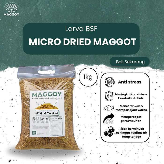 Maggot kering 1kg magot 1 kg kering dried maggot pakan alternatif pakan ikan pakan ternak pakan hewa