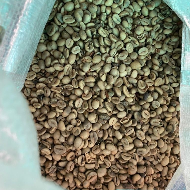 Biji Kopi Green bean Robusta Dampit asalan | 10 kg |