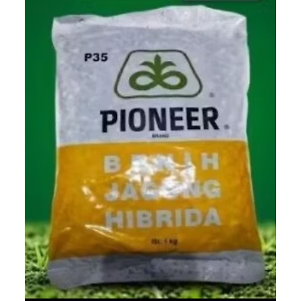 PIONEER P35 BENIH JAGUNG HIBRIDA 1KG