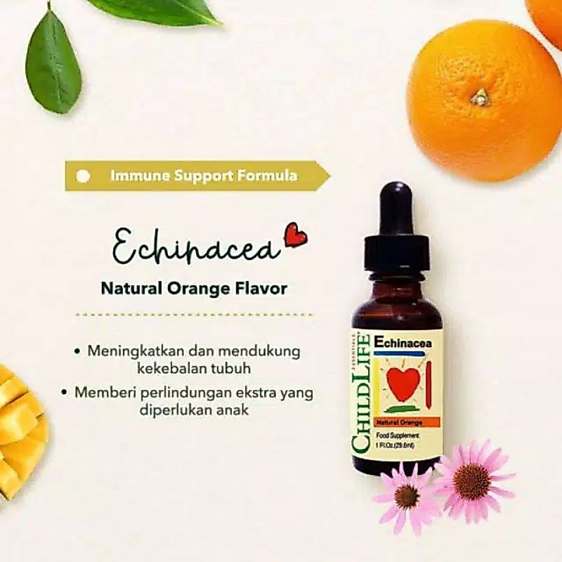 CHILDLIFE Echinacea