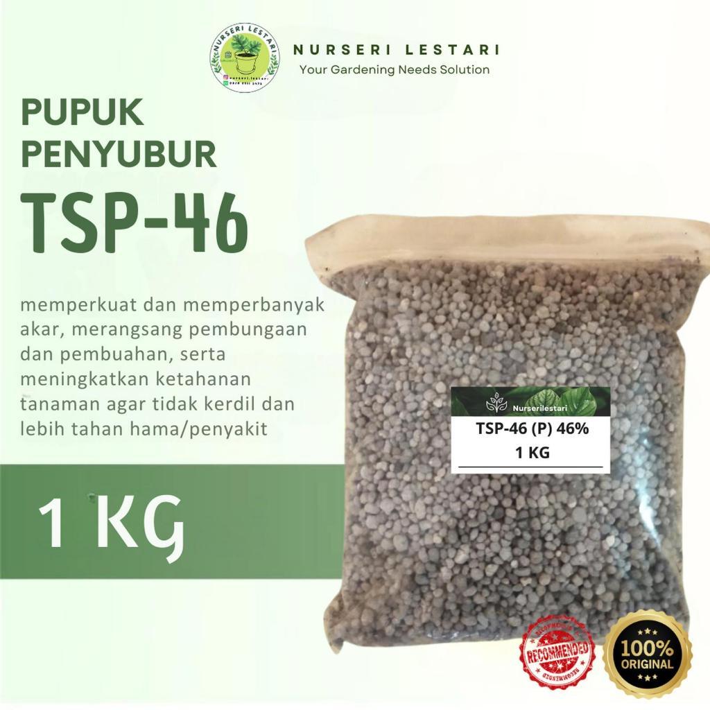 Pupuk SUPER PHOSPAT TSP-46 dan SP -27 Untuk Nutrisi Akar 1 KG Penyubur Dan Pembenah Tanah