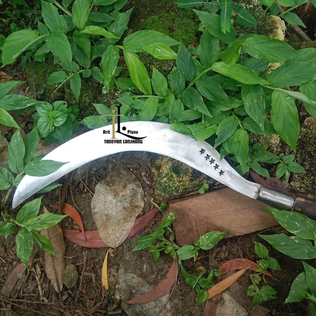 Arit Panjang Cap Bintang 5 Ukuran 54 cm/Arit Super Top/Sabit Rumput Full Baja/Arit Rumput Panjang Ba