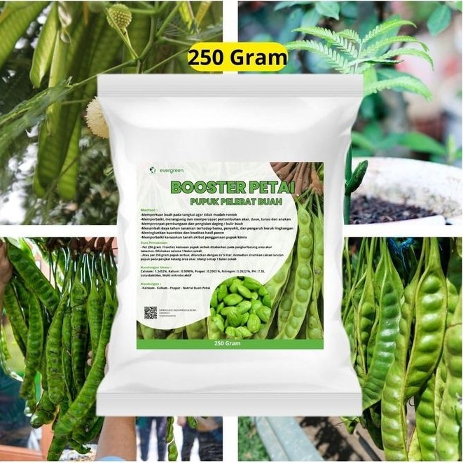 "New" Pupuk Petai Booster 250 gram - Pupuk Pelebat Buah Petai - Pupuk Petai