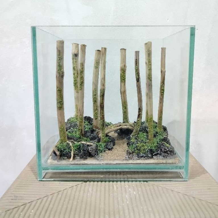 Aquascape Jungle/Aquascape Hutan/Aquascape sintetis