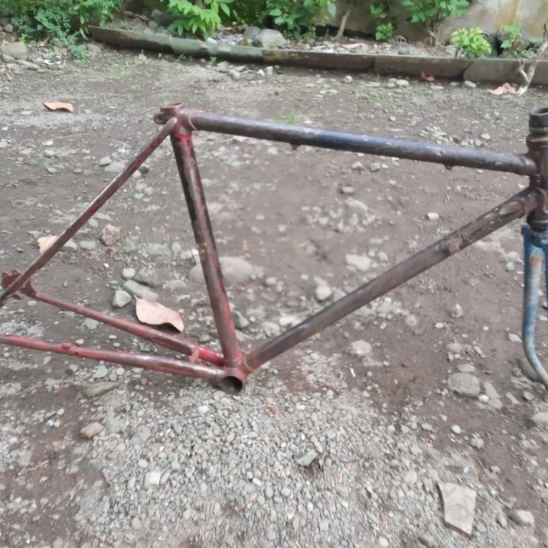 frame bajul roda 24 seper size 18