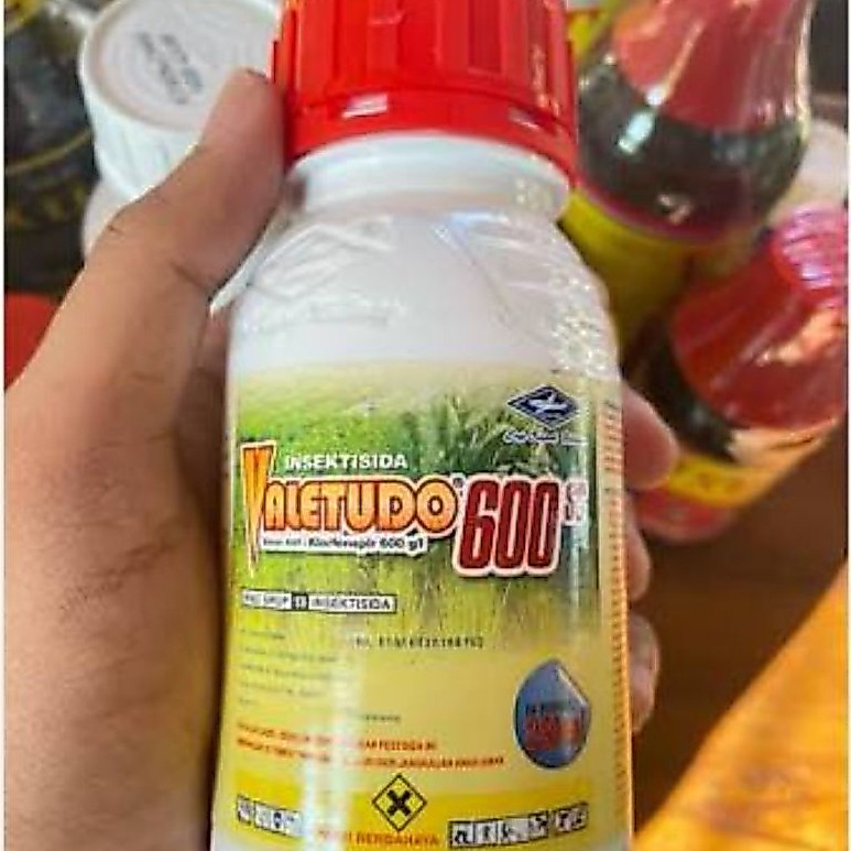 insek husus ulat