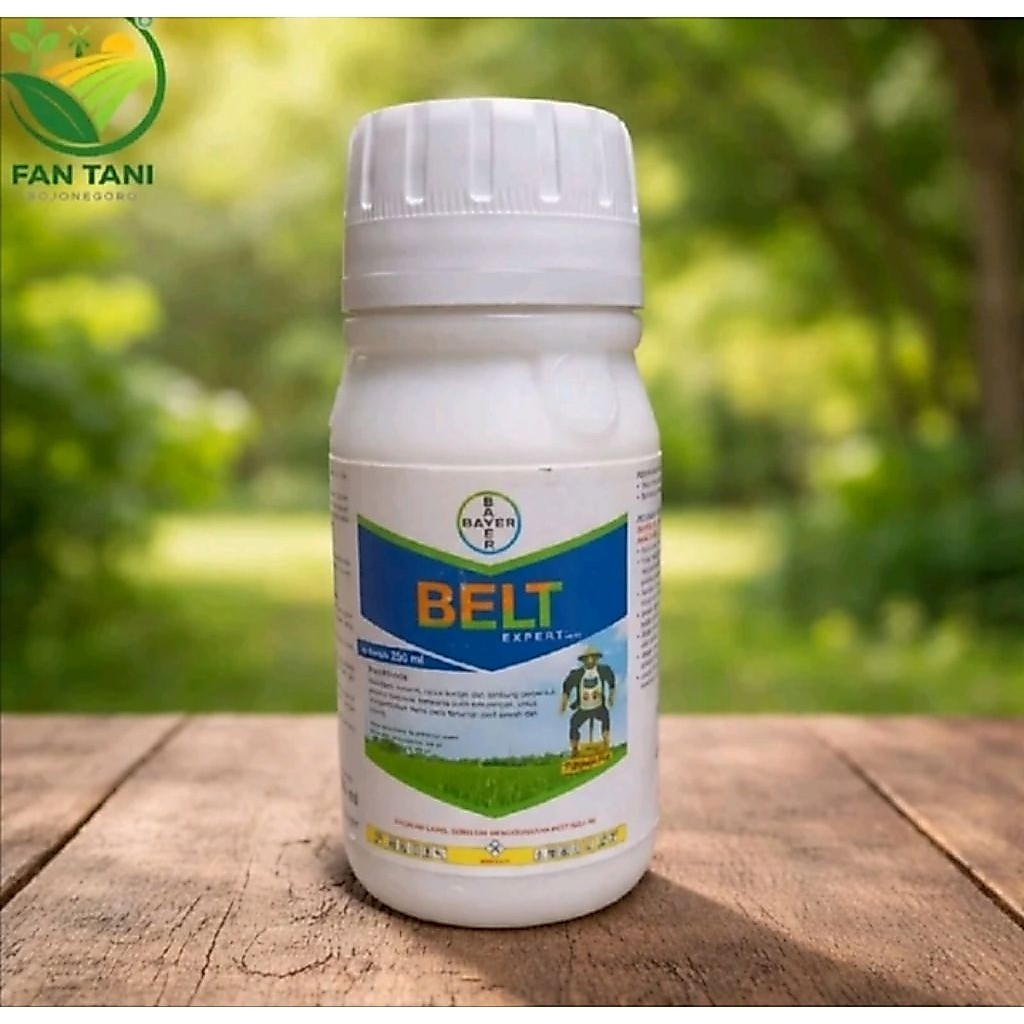 sundep & beluk BELT EXPERT 480SC