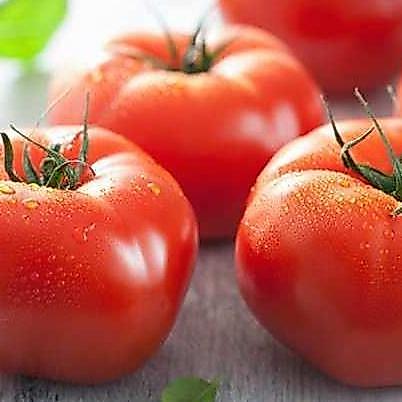 Promo Cod ( 5 Butir ) Benih Biji Tomat Beef | Tomat Beefsteak | Beefsteak Tomato ><