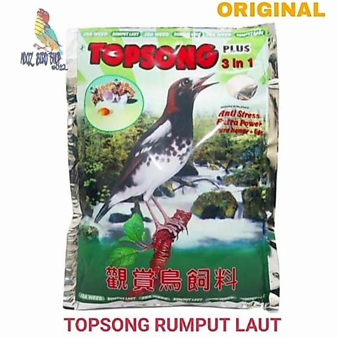 PAKAN BURUNG TOPSONG VOER TOP SONG COKLAT/KUNING