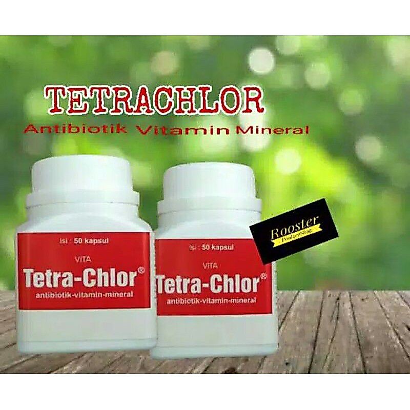 Tetra chlor botol isi 50 kapsul