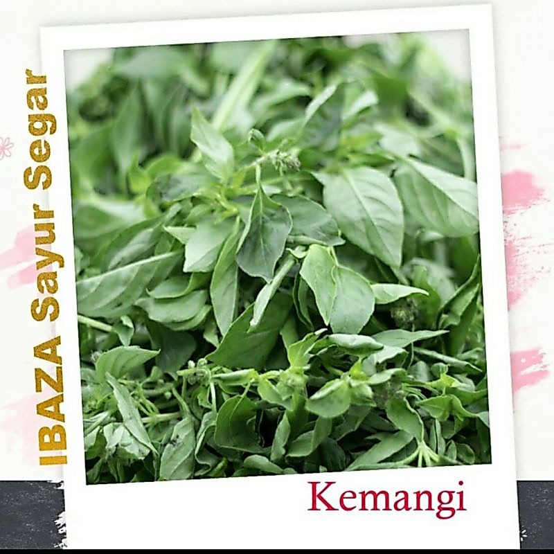Sayur Daun Kemangi Sayuran Segar IBAZA fruitsBOX