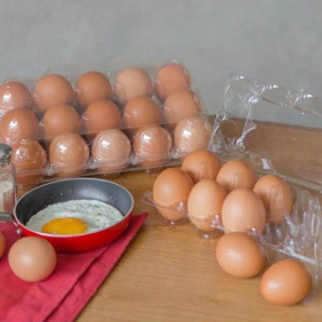 Box Egg Tray Lock 15 butir telur mika wadah telur tebal isi 15 butir telor sudah ada pengunci otomat