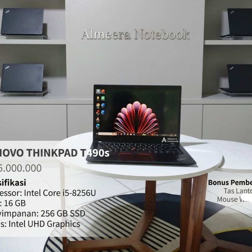 Lenovo Thinkpad T490s