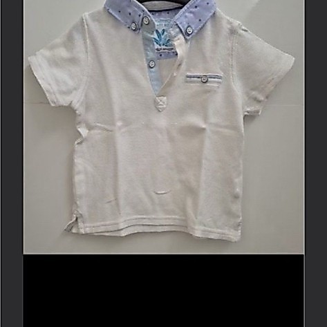 pl gingersnaps polo