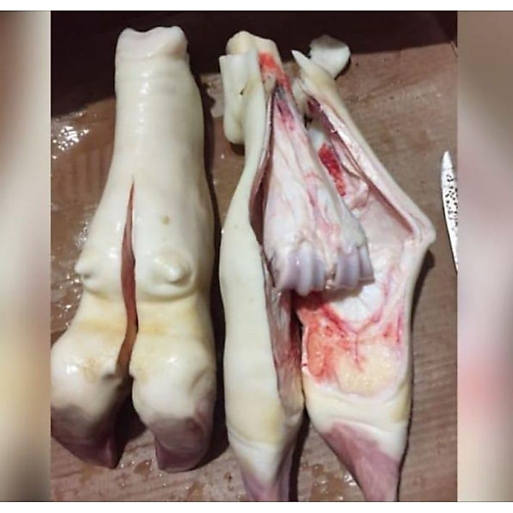 tunjang/kaki sapi
