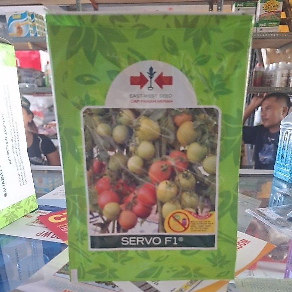 benih tomat SERVO F1 original panah merah
