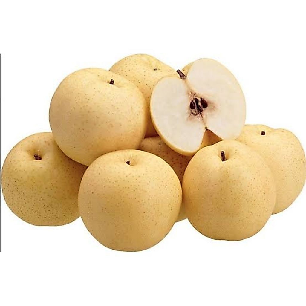 buah pir madu