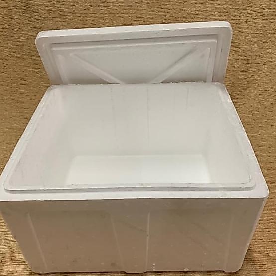 [Sby] 50 Kg Box Gabus Styrofoam / Sterofoam (50 X 40 X 32 Cm)