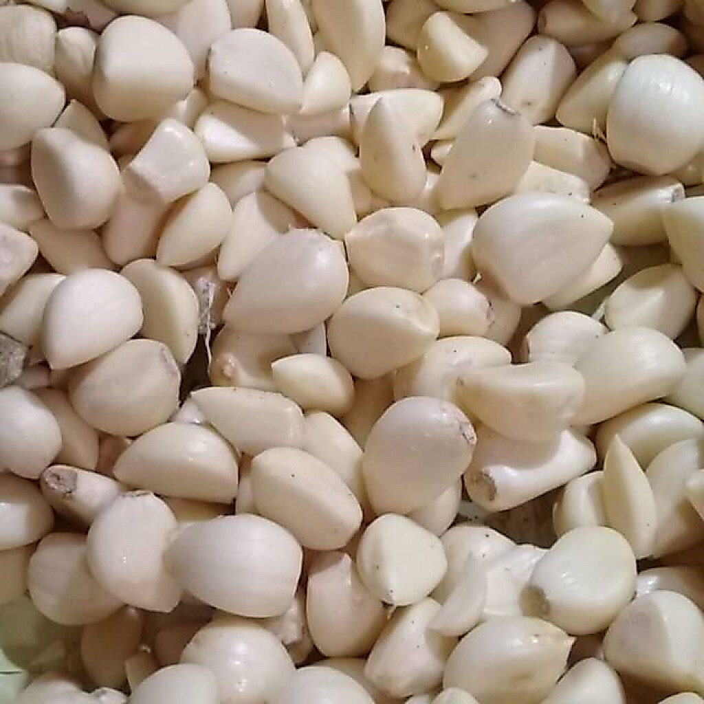 Bawang putih kupas 20 kg