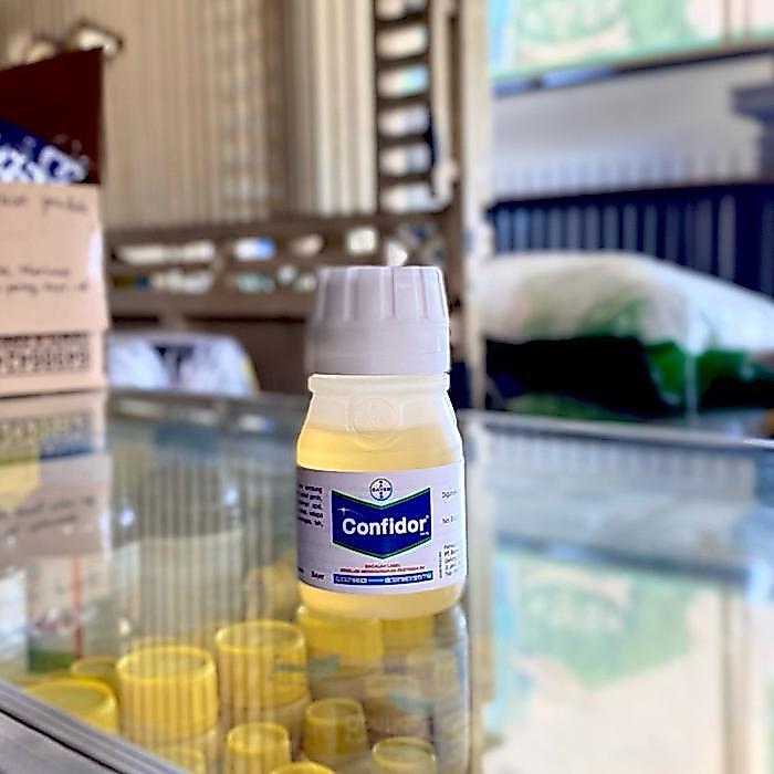 Insektisida Confidor 200SL - 60ml