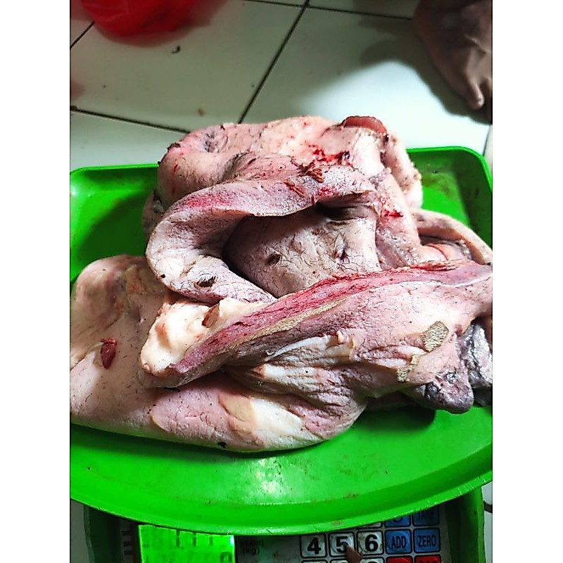 Kikil Pala Sapi (mentah)