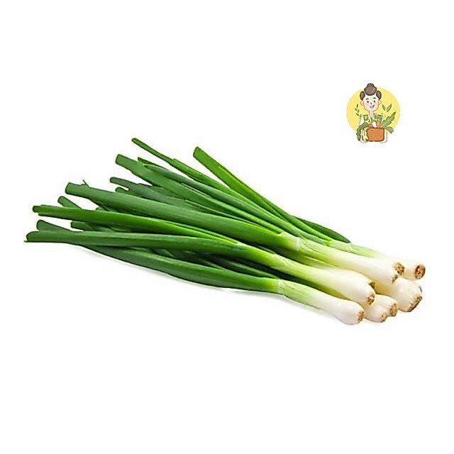 Daun Bawang Pre Segar - Sayur Segar Instan Malang