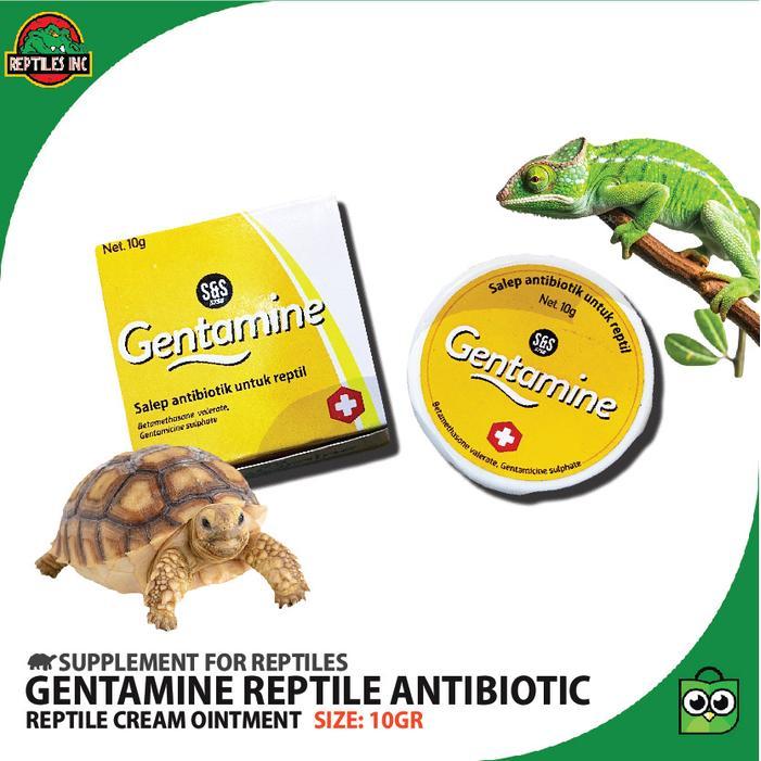 Gentamine Salep Obat Antibiotik Reptil / Luka Jamur Shell Rot Iritasi