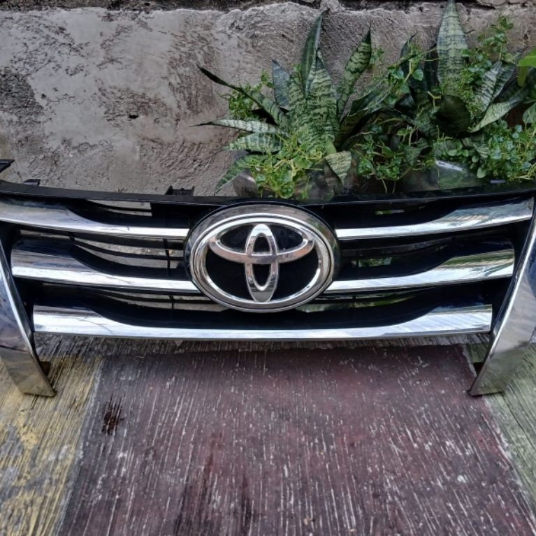 Grill Fortuner VRZ