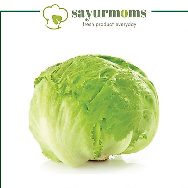 Lettuce Iceberg Segar 500 Gram - 1 Kg Surabaya Tengah