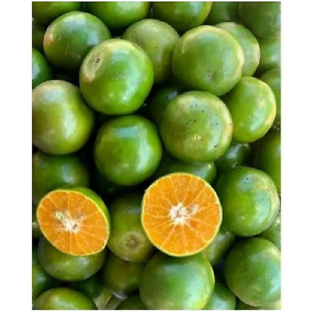 JERUK PERAS ASLI SEMBORO JEMBER FRESH 500 GR