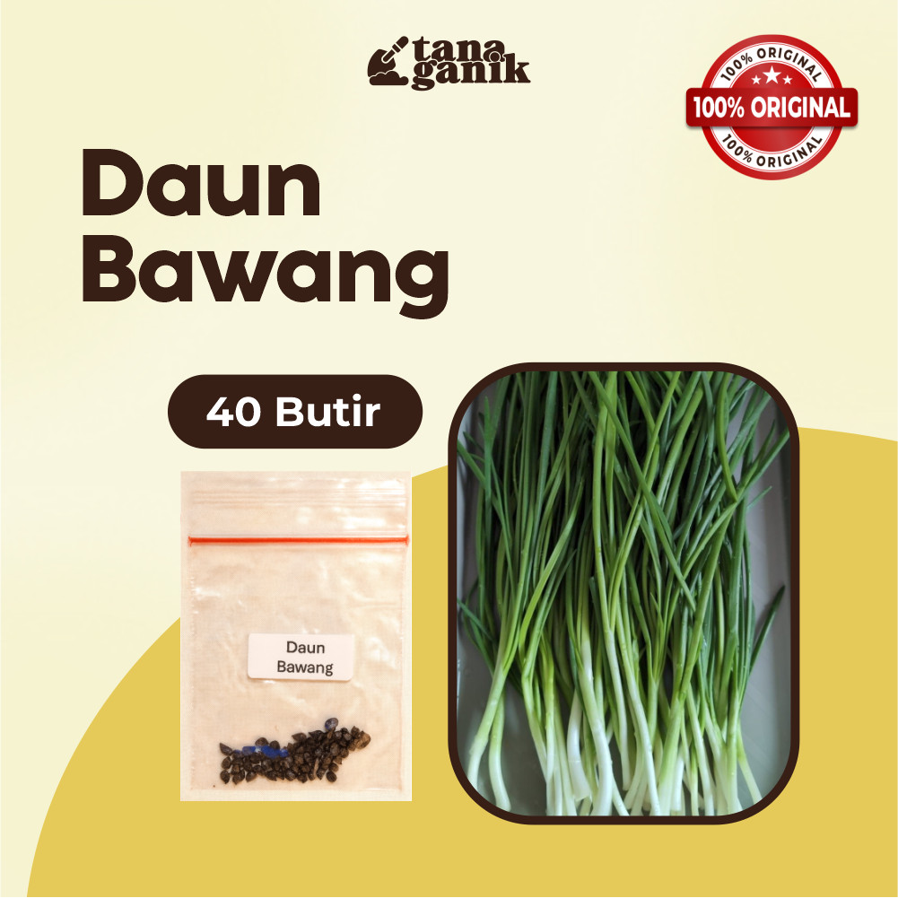 TANAGANIK - Benih Daun Bawang Unggul Benih Sayur Daun Bawang Super Bibit Daun Bawang Berkualitas