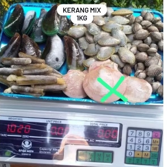 SEAFOOD Kerang Mix 1kg