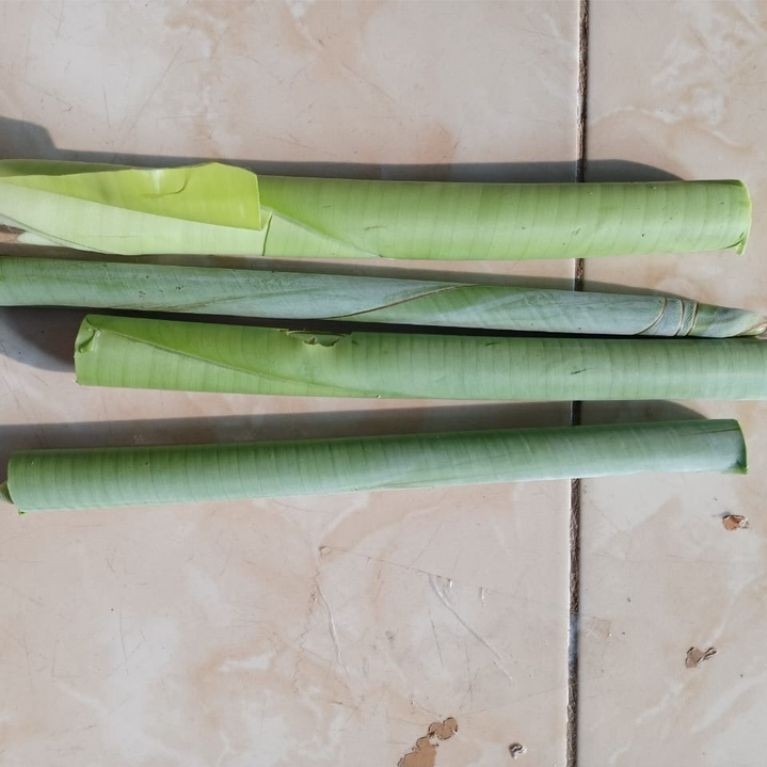 pucuk daun pisang batu