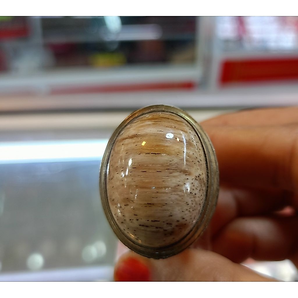 cincin Fosil kelor (Natural)