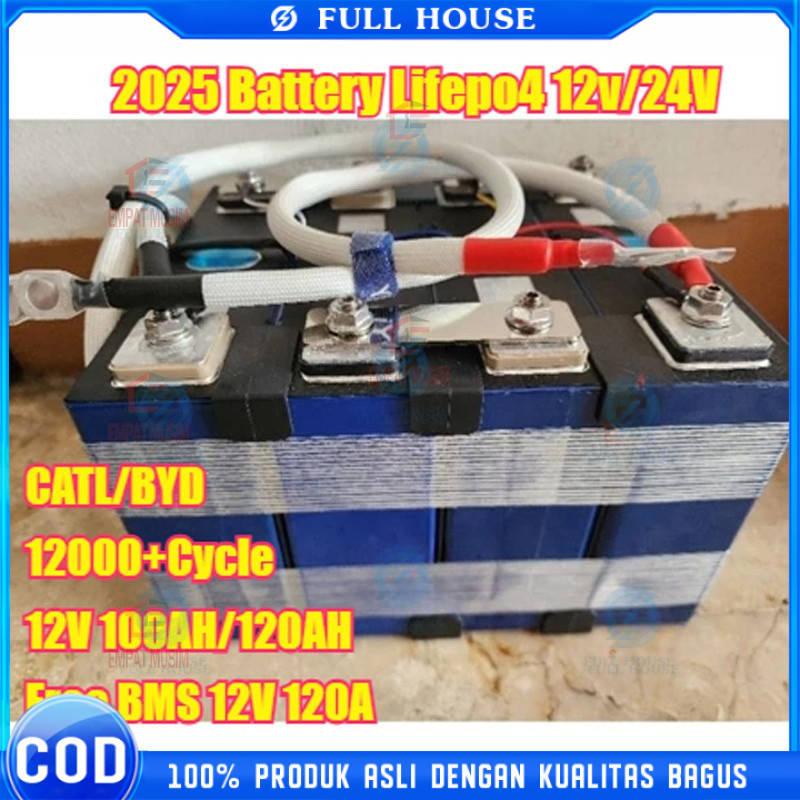 BECKY CATL/BYD Battery Lifepo4 Battery Lifepo4 12v/24V 100ah /120AH plus BMS