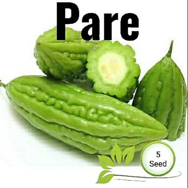 Pare hijau benih biji pare