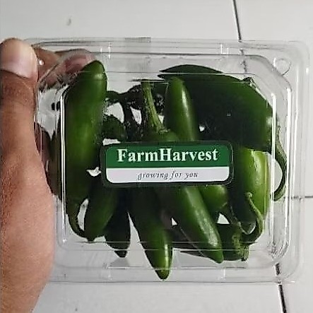 Jalapeno farm Harvest fresh jalapeno 200 gram