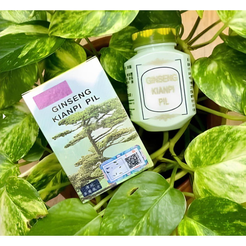 [ VINA CENGKARENG KIAN_PIL ] Gingseng_Kianpil (Pill Gemuk) Kian PI Kianpi Pil Penggemuk Badan Wisdom