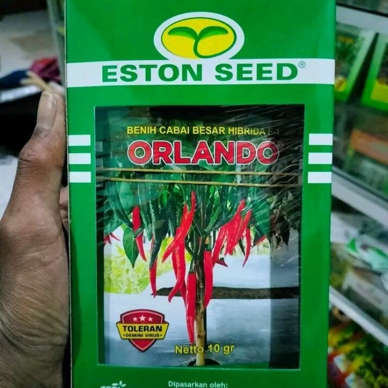BENIH CABE ORLANDO F1 10 GRAM