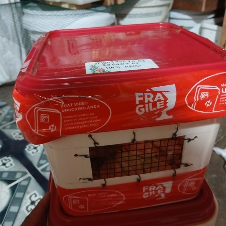 Box Packing + (Hamster) Hidup Sepasang