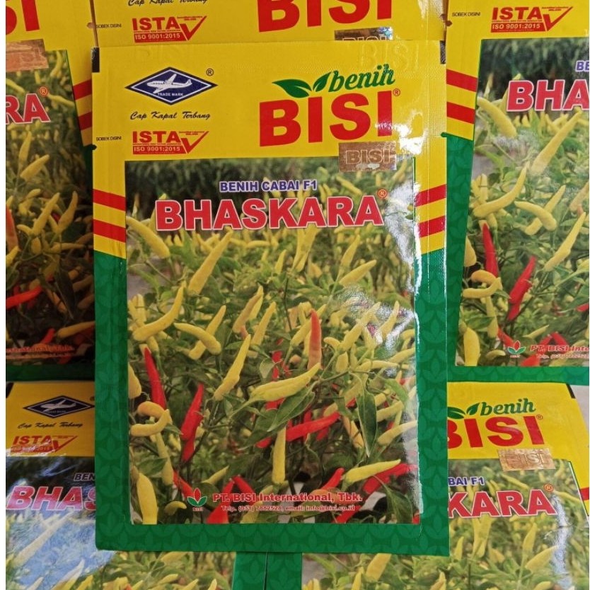 BENIH CABE RAWIT BHASKARA F1 10 GRAM